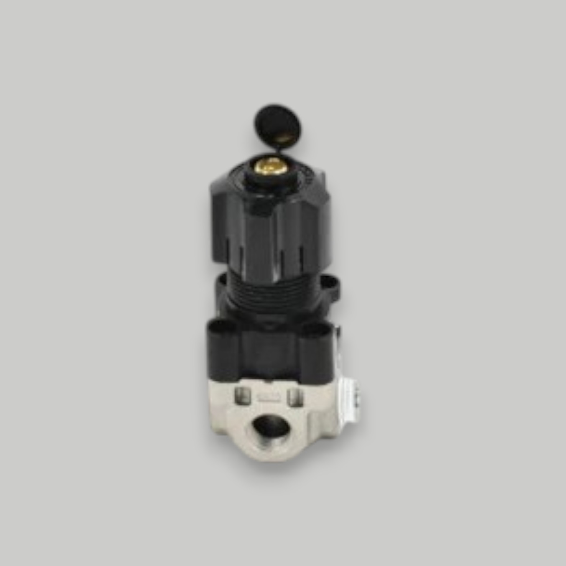3204277  PURGE GAUGE PRESSURE REGULATOR 60-150 (REGULADOR DE PRESION PARA MEDIDOR DE PURGA 60-150)