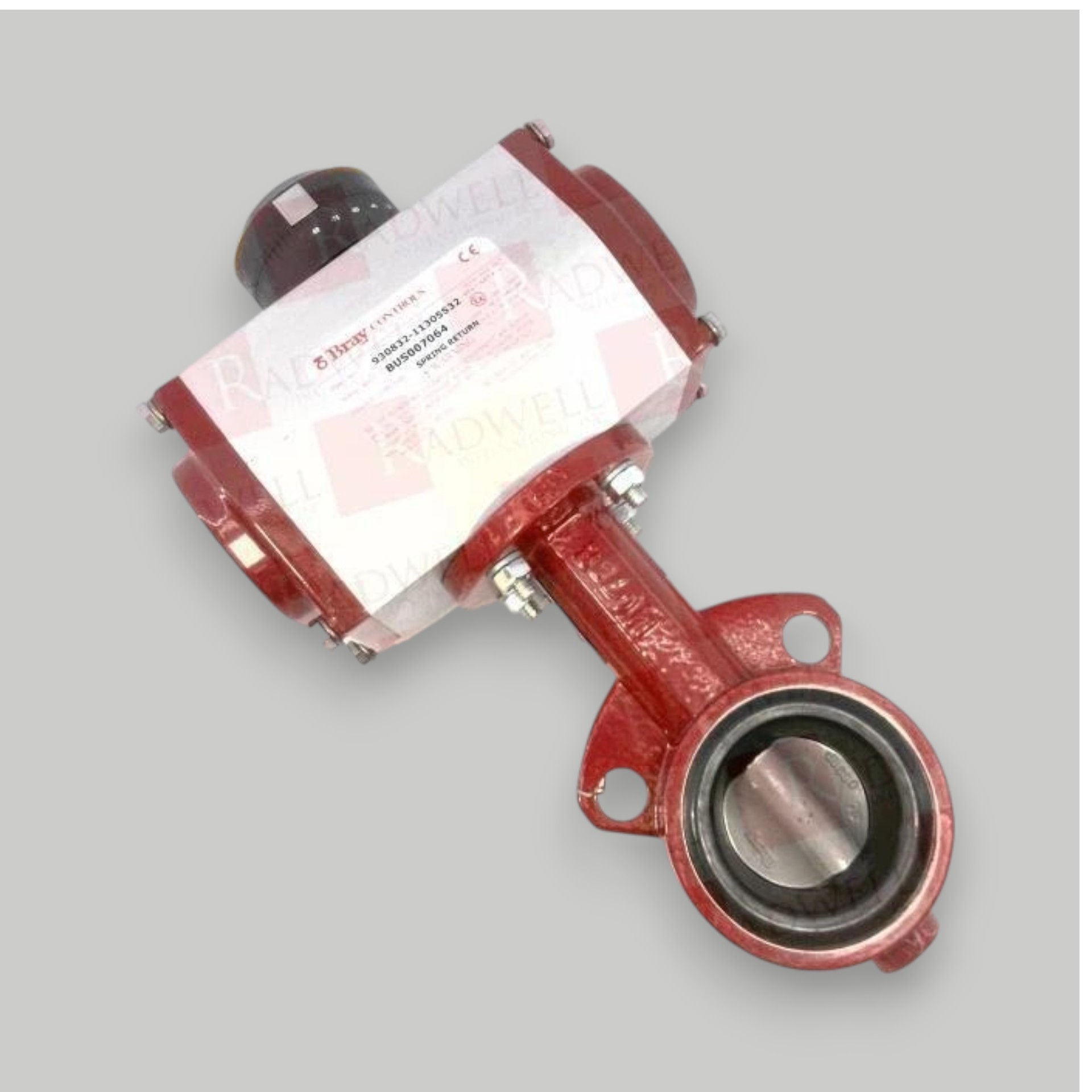 7473348 (VALVULA) VALVE  BTFL&A  2.00  CLS150  W  DI  ACT  SR FC(REM 4820.090.74)